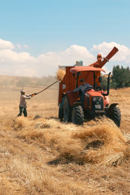 In an open field under a partly cloudy sky, a person is operating an orange agricultural straw blower attached to a tractor, designed for processing harvested crops. The operator is seated inside the 